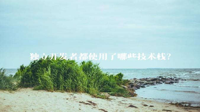 独立开发者都使用了哪些技术栈？
