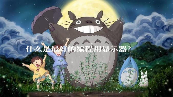 什么是最好的编程用显示器？