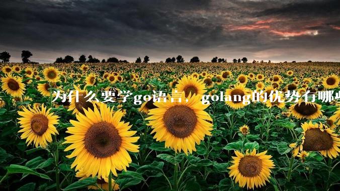 为什么要学go语言，golang的优势有哪些？